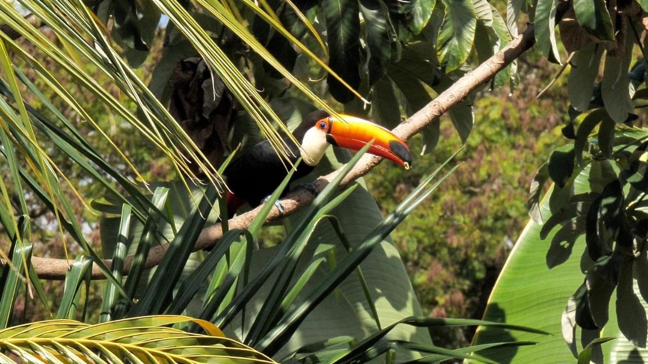 Pousada Surucua - Bonito Ms Exterior foto